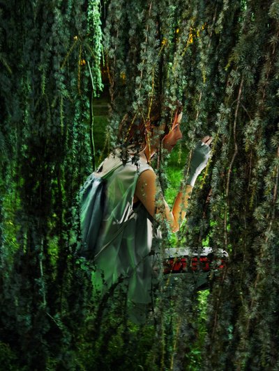 Divinorum